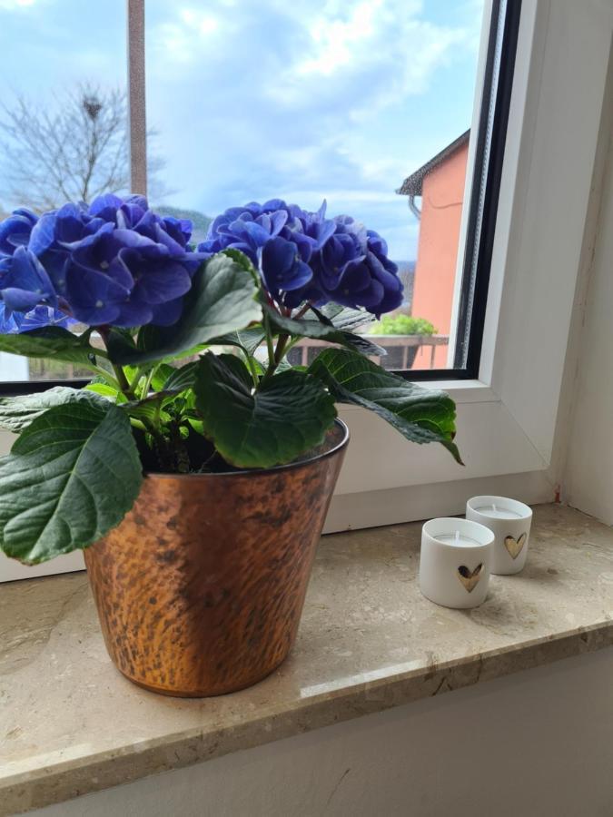 Ferienwohnung Rosenberg Oberemmel Eksteriør billede
